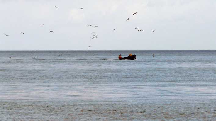 Ein kleines Boot mit zwei Personen auf dem Meer, Möwen fliegen darüber, Regenwetter (Quelle: rbb/OHRENBÄR/Sonja Kessen)