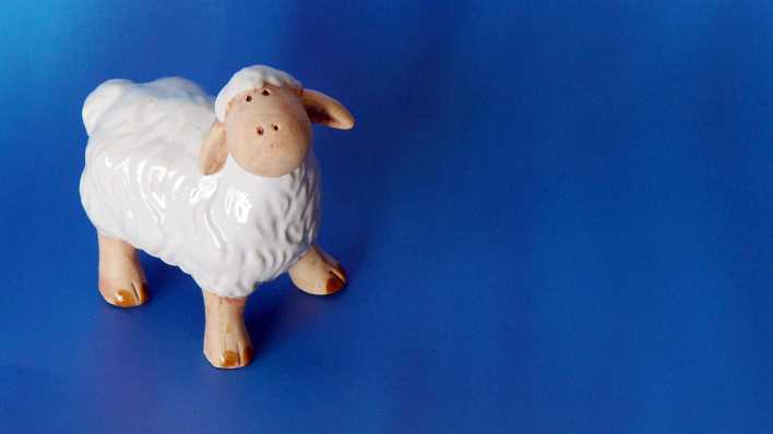 Kleines Spielzeug-Schaf, auf blauem Grund (Quelle: rbb/OHRENBÄR/Sonja Kessen)