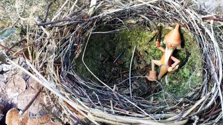 Ein kleines Männchen aus Holz in einem Nest auf dem Boden (Quelle: rbb/OHRENBÄR/Birgit Patzelt)
