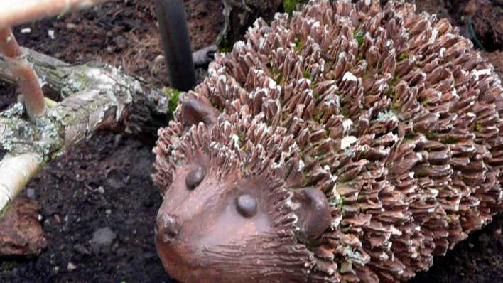 Ein Igel aus Kunststoff in einem Blumentopf (Quelle: rbb/OHRENBÄR/Sonja Kessen)