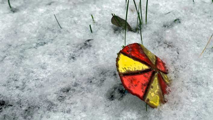 Ein buntes "Etwas", sieht aus wie ein kleines Schirmchen, auf einer vereisten Wiese (Quelle: rbb/OHRENBÄR/Birgit Patzelt)