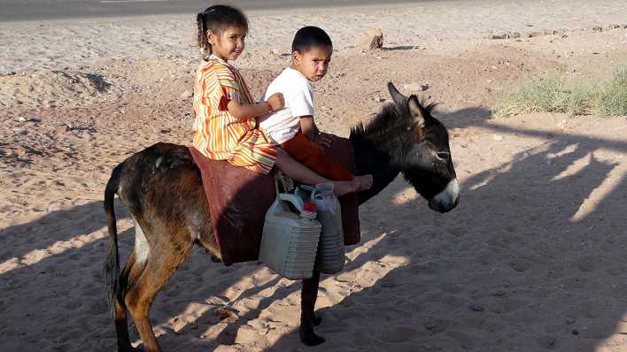 Zwei Kinder, Mädchen und Junge, auf einem Esel (Quelle: rbb/OHRENBÄR/Sonja Kessen)