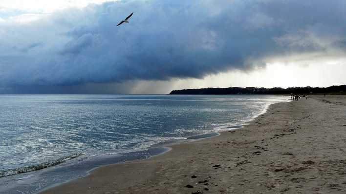 Eine Küste am Meer mit sehr tiefliegenden Wolken (Quelle: rbb/OHRENBÄR/Sonja Kessen)