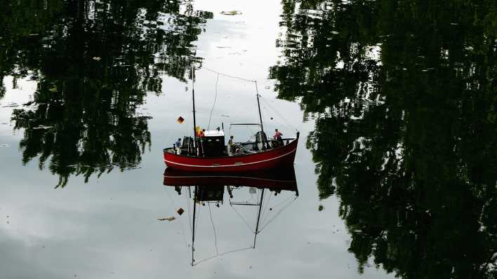 Ein kleines, rotes Modell-Schiff treibt auf einem Teich, Bäume spiegeln sich im Wasser (Quelle: rbb/OHRENBÄR/Sonja Kessen)