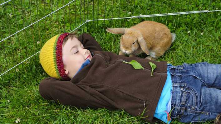 Ein Junge mit brauner Jacke und Jeans liegt auf einer Wiese, ein braunes Kaninchen mit Schlappohren daneben (Quelle: imago/Torsten Becker)