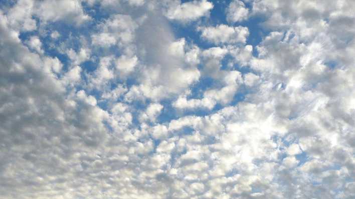 Blick in Schäfchenwolken mit blauem Himmel (Quelle: rbb/OHRENBÄR/Sonja Kessen)