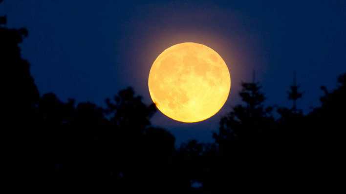 Goldener Vollmond in der Nacht über einer Waldsilhouette (Quelle: imago/Christian Schroedter)