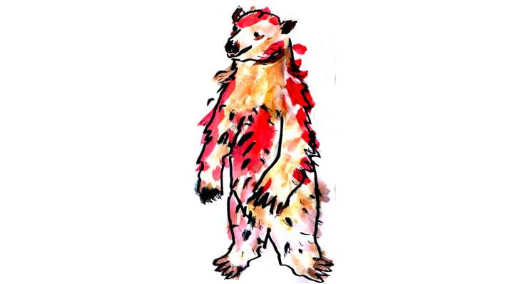 Zeichnung der Autorin: ein großer, roter Bär (Quelle: Karen Matting)