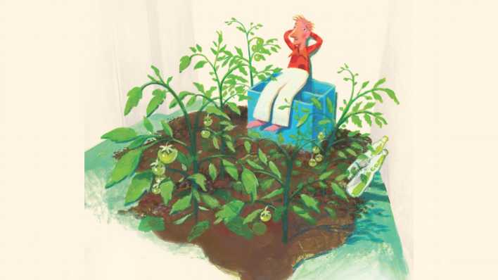 Zeichnung: der kleine Herr Jaromir sitzt auf einer blauen Kiste und ist umgeben von Tomatenstauden (Quelle: Verlag Razamba/Jens Rassmuss)