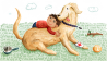 Ein Junge kuschelt auf einem Hund mit braunem Fell, drumherum liegen Stock, Ball und Bürste (Quelle: rbb/OHRENBÄR/Ina Worms)