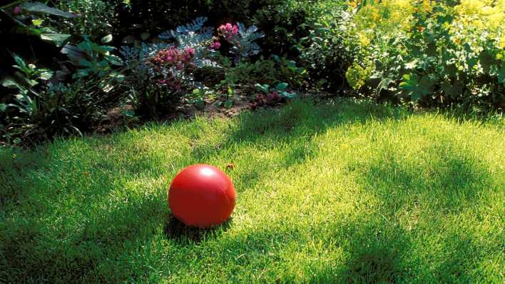 Ein Ball auf einer Wiese, dahinter beginnt ein Garten mit Pflanzen und Gestrüpp (Quelle: imago images/Redeleit)