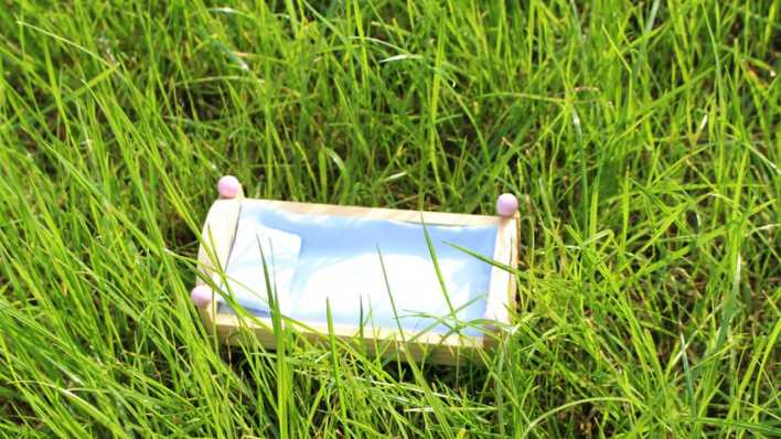 Ein Puppenbett im dichten Gras (Quelle: Denny Lauenroth)