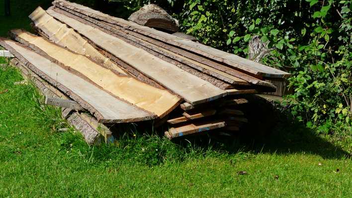 Holzbretter auf einer grünen Wiese, daneben Buschwerk (Quelle: rbb/OHRENBÄR/Sonja Kessen)