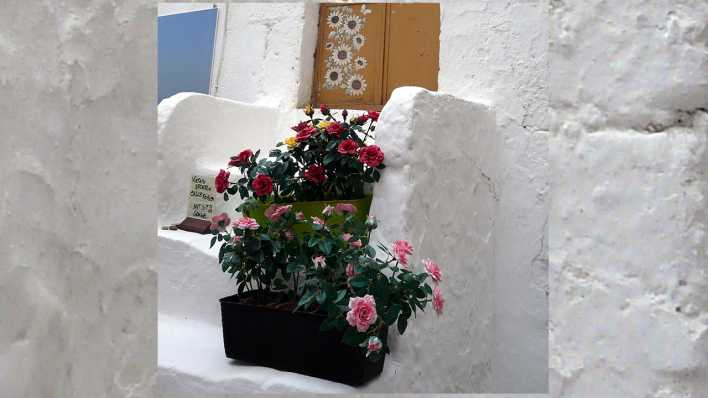 Blumenkästen auf einer weißen Treppe, die zu einer bemalten Tür führt (Quelle: rbb/OHRENBÄR/Sonja Kessen)