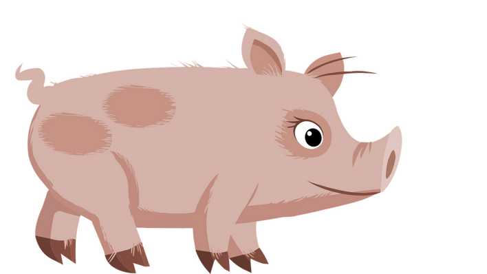 Zeichnung eines Schweins (Quelle: pixabay)
