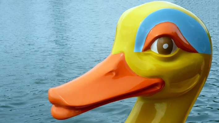 Entenfigur auf der Spree, nur der gelb-blau-orangefarbene Kopf ist zu sehen (Quelle: rbb/OHRENBÄR/Sonja Kessen)