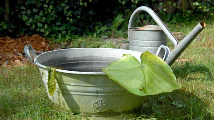 Eine Blechbadewanne und eine blecherne Gießkanne auf einer Wiese (Quelle: rbb/OHRENBÄR/Birgit Patzelt)