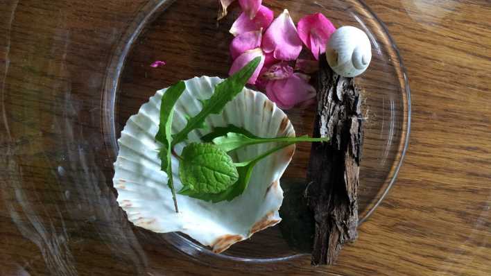 Auf einer Glasschale auf einem Holztisch: Blätter, Rinde, Blütenteile, Muschel (Quelle: rbb/OHRENBÄR/Birgit Patzelt)