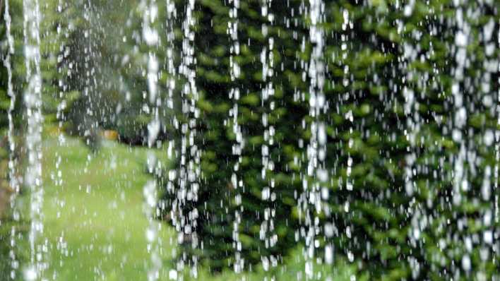 Ein Wald im Hintergrund, davor ein Schleier aus dicken Regentropfen (Quelle: rbb/OHRENBÄR/Birgit Patzelt)