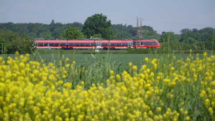Eine grüne Sommerlandschaft, im Hintergund fährt ein roter Zug (Quelle: imago images/Steinach)